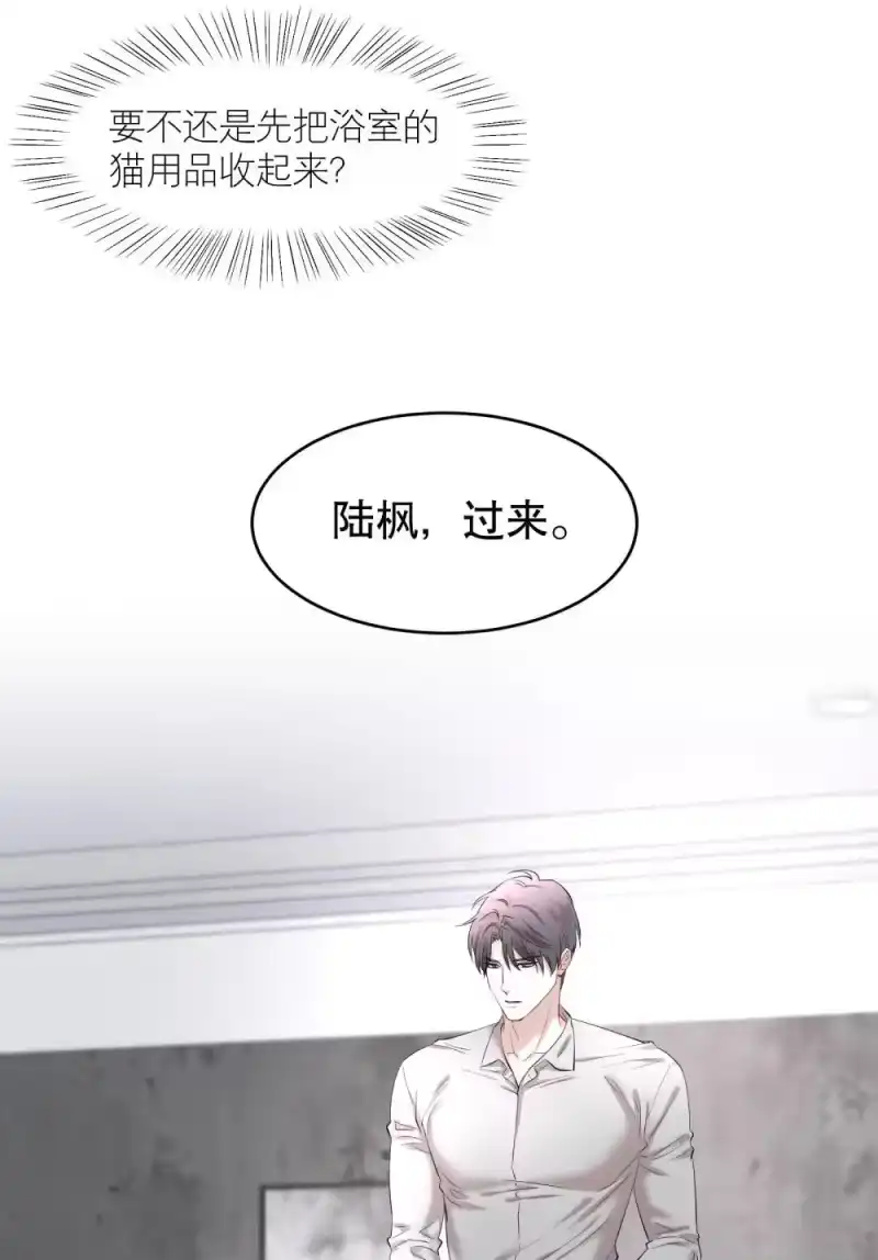 飞鸥不下_h 第97章 “故猫” 第30页