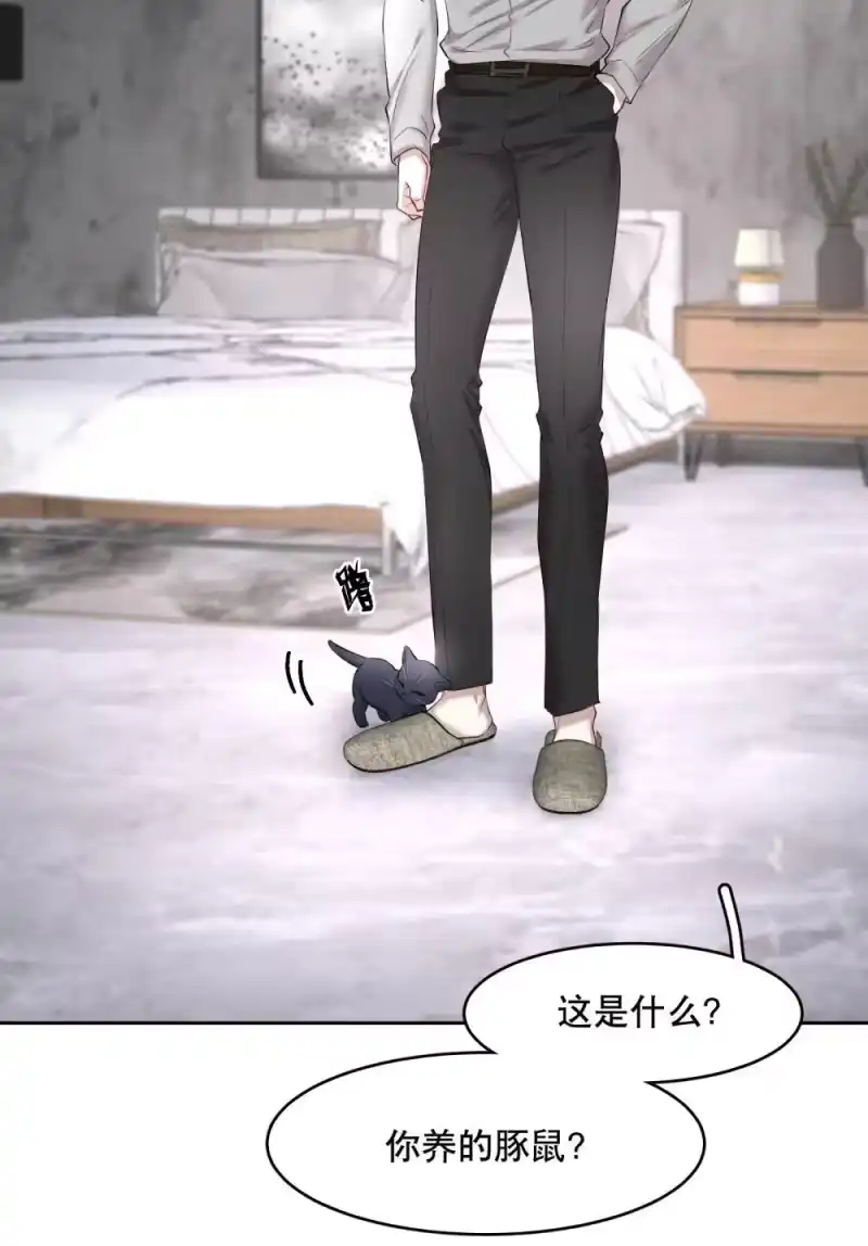 飞鸥不下_h 第97章 “故猫” 第31页