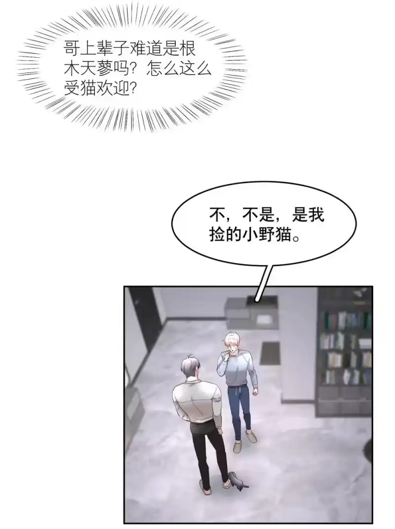 飞鸥不下_h 第97章 “故猫” 第32页