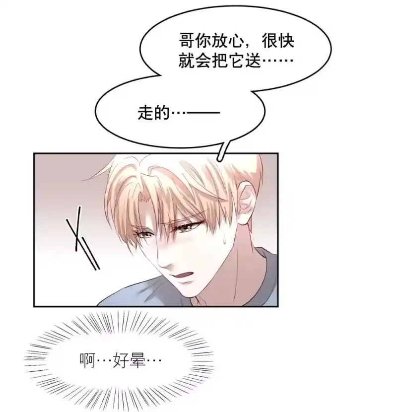 飞鸥不下_h 第97章 “故猫” 第33页