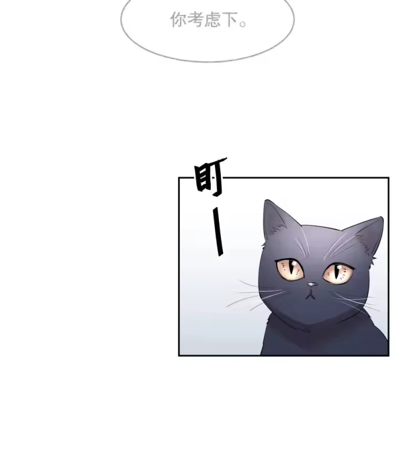 飞鸥不下_h 第97章 “故猫” 第4页