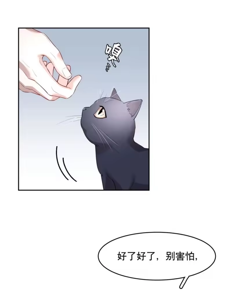 飞鸥不下_h 第97章 “故猫” 第5页