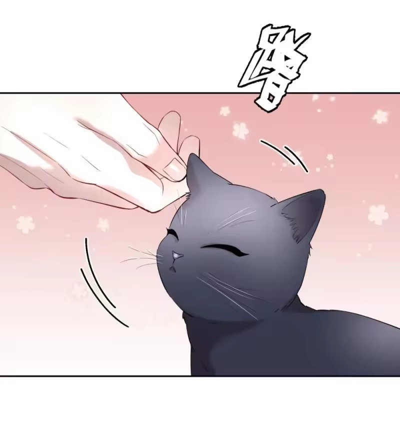 飞鸥不下_h 第97章 “故猫” 第7页