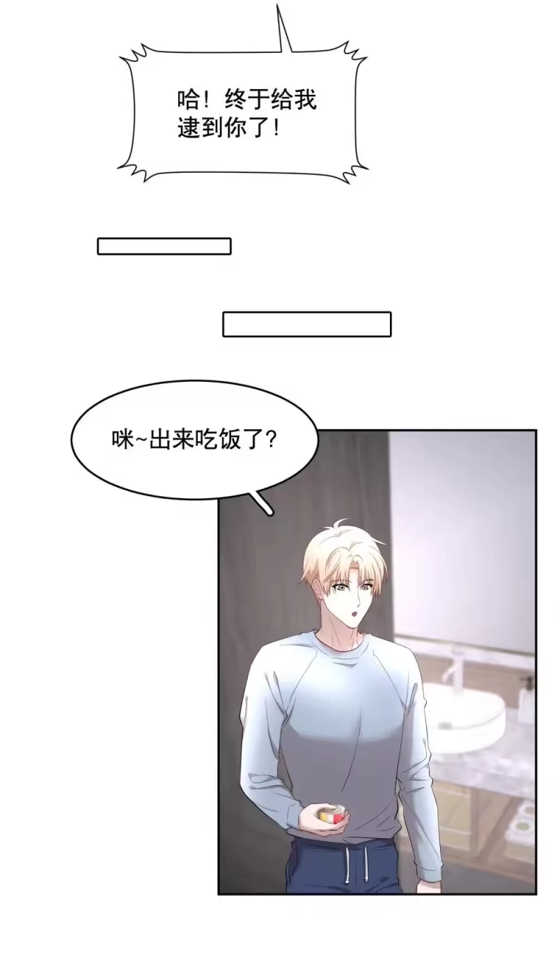 飞鸥不下_h 第97章 “故猫” 第9页