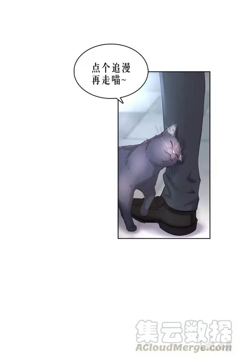 飞鸥不下_h 第13章 不是不能，而是不屑 第43页