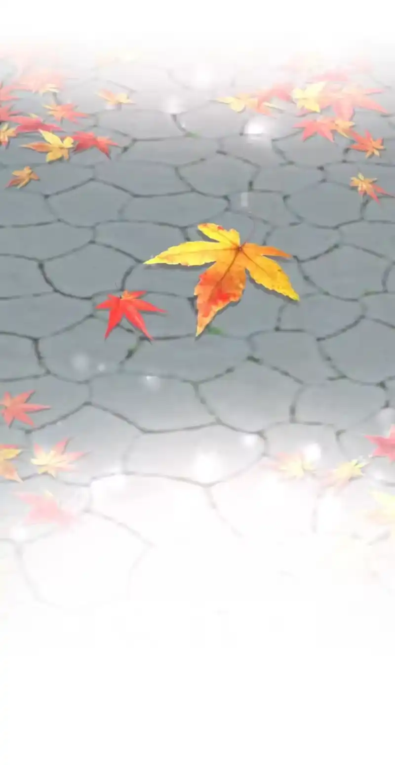 飞鸥不下_h 第15章 熊孩子（一） 第32页