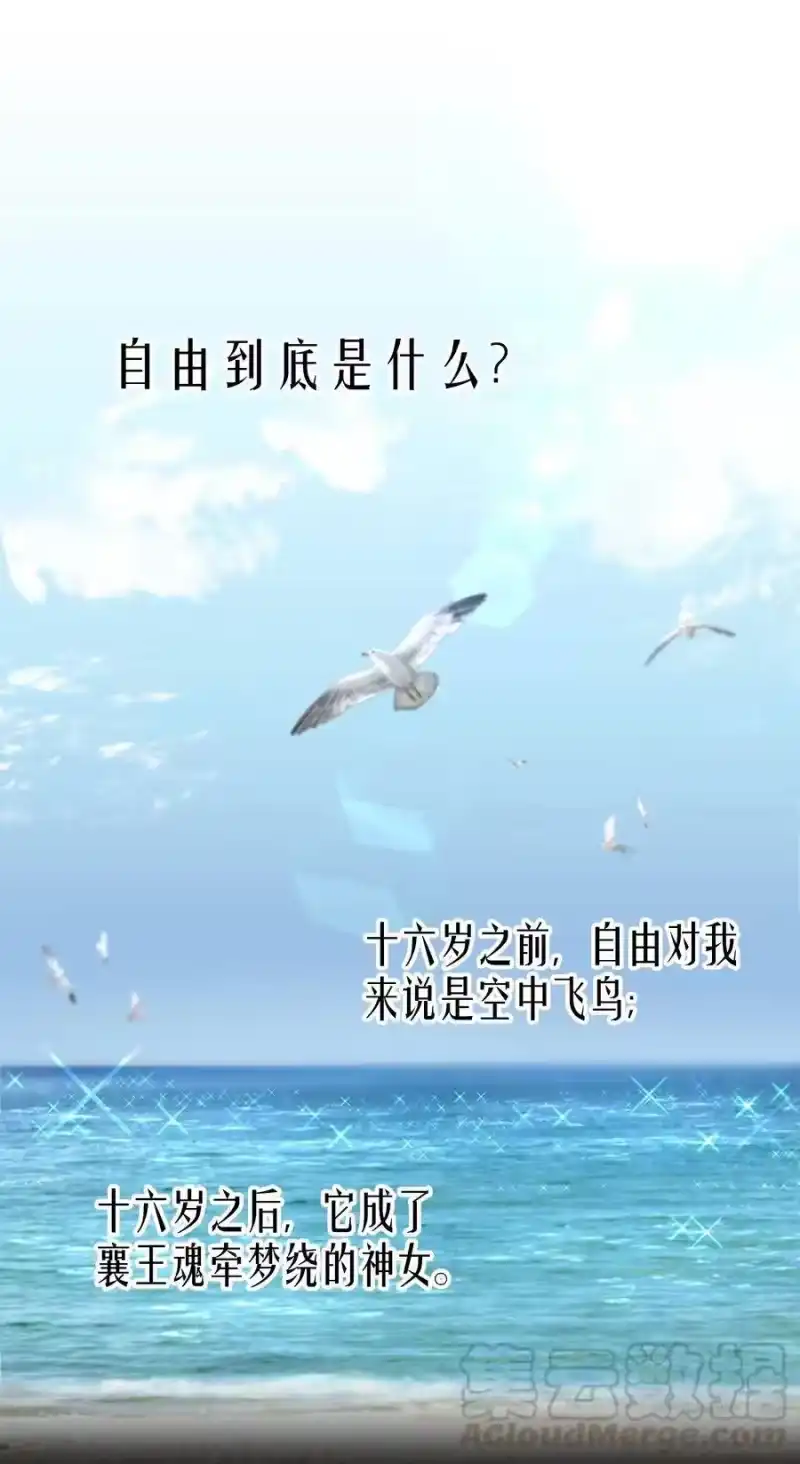 飞鸥不下_h 序章 舞而不下 第1页