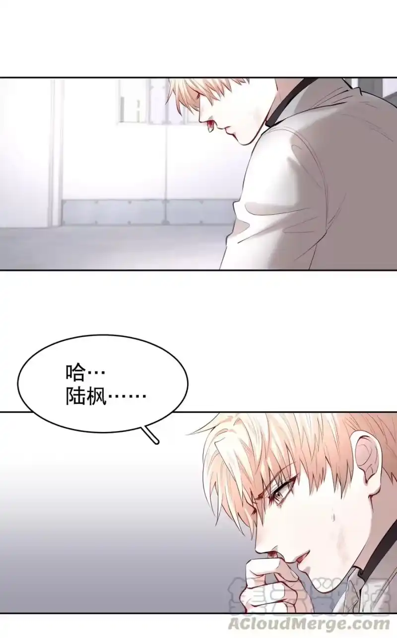 飞鸥不下_h 第22章 犯贱（二） 第39页
