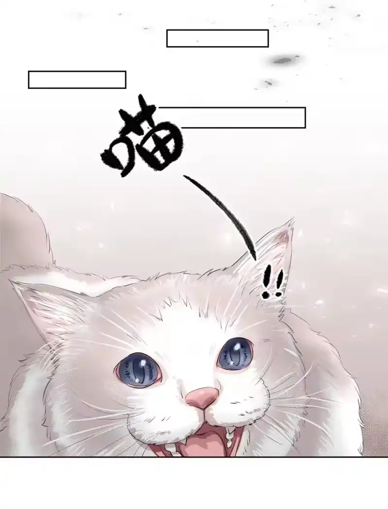飞鸥不下_h 第1章 我就是陆枫 第12页