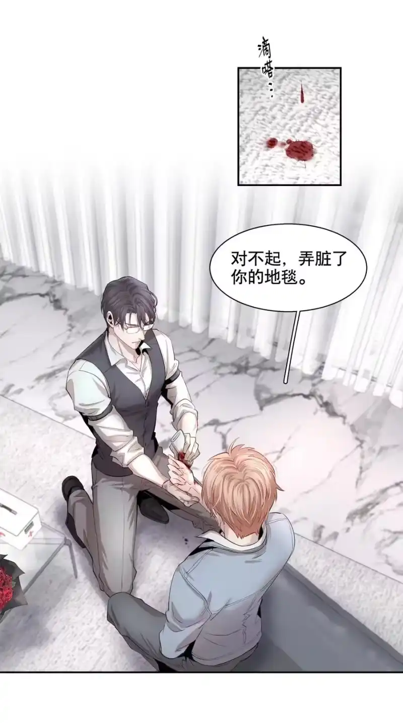 飞鸥不下_h 第1章 我就是陆枫 第42页