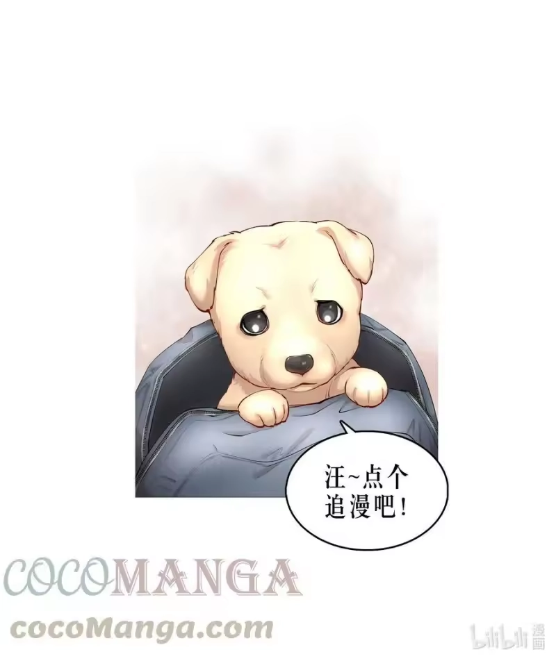 飞鸥不下_h 第32章 本能万岁 第39页