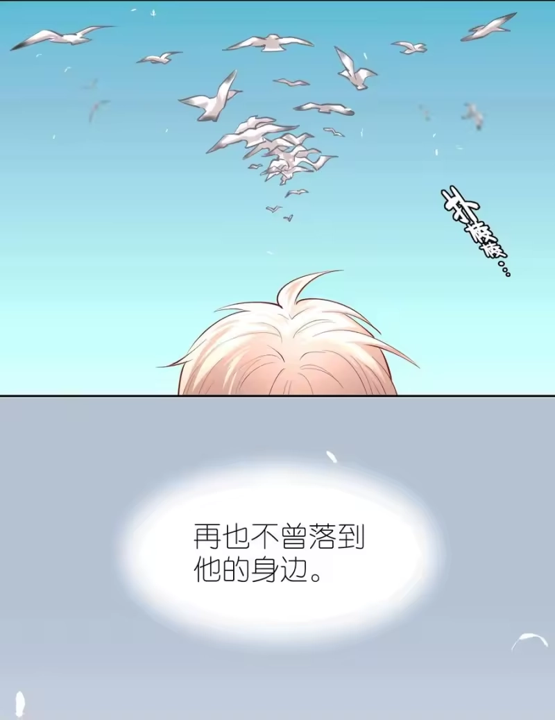 飞鸥不下_h 第37章 只在上空盘旋飞舞 第38页