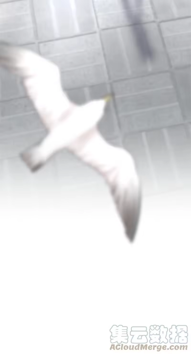 飞鸥不下_h 第37章 只在上空盘旋飞舞 第46页