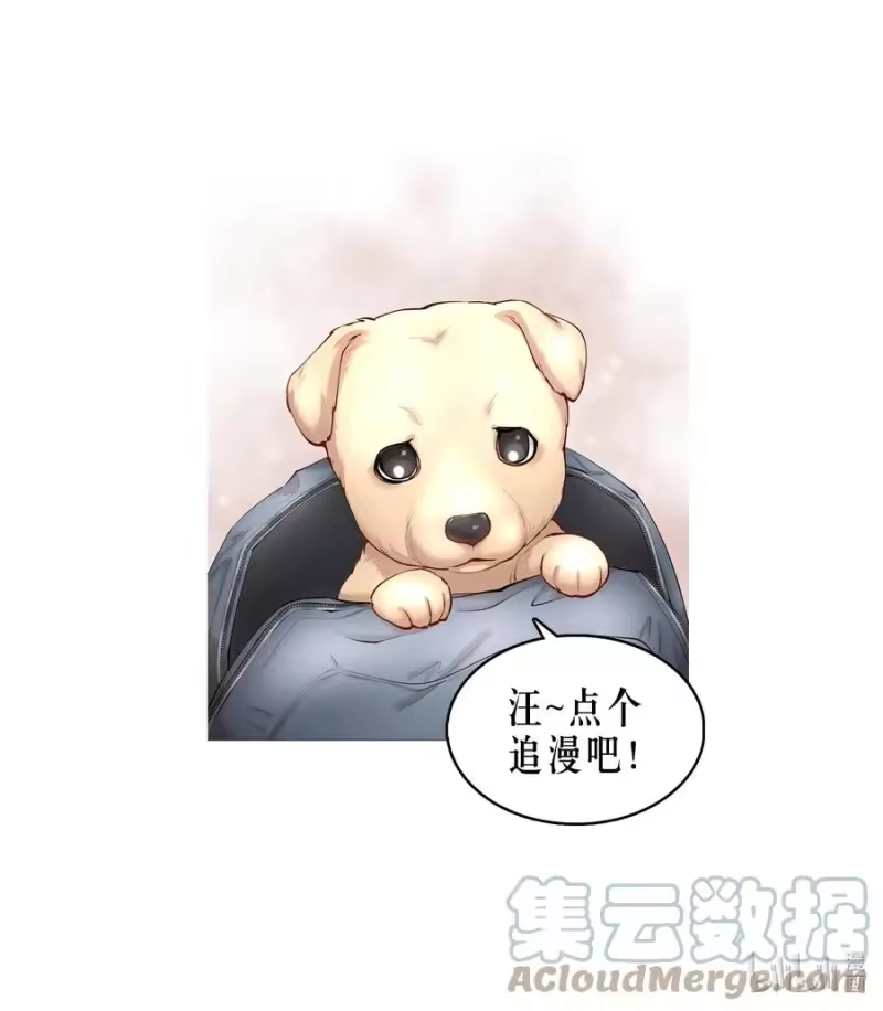 飞鸥不下_h 第37章 只在上空盘旋飞舞 第49页