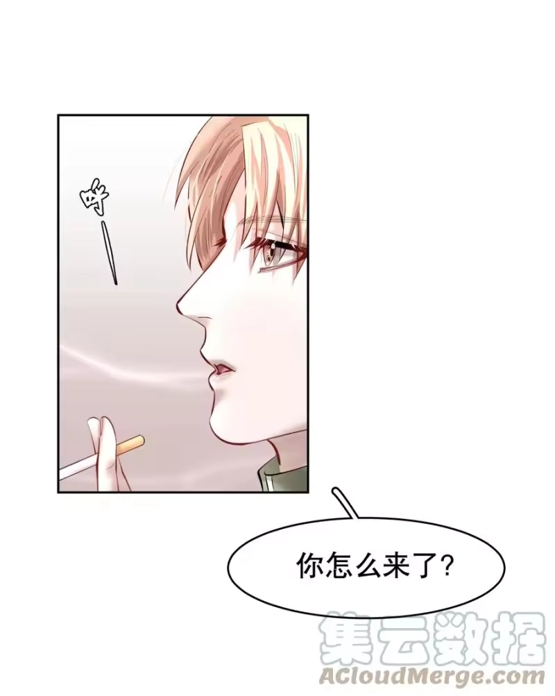 飞鸥不下_h 第38章 我从不后悔 第28页