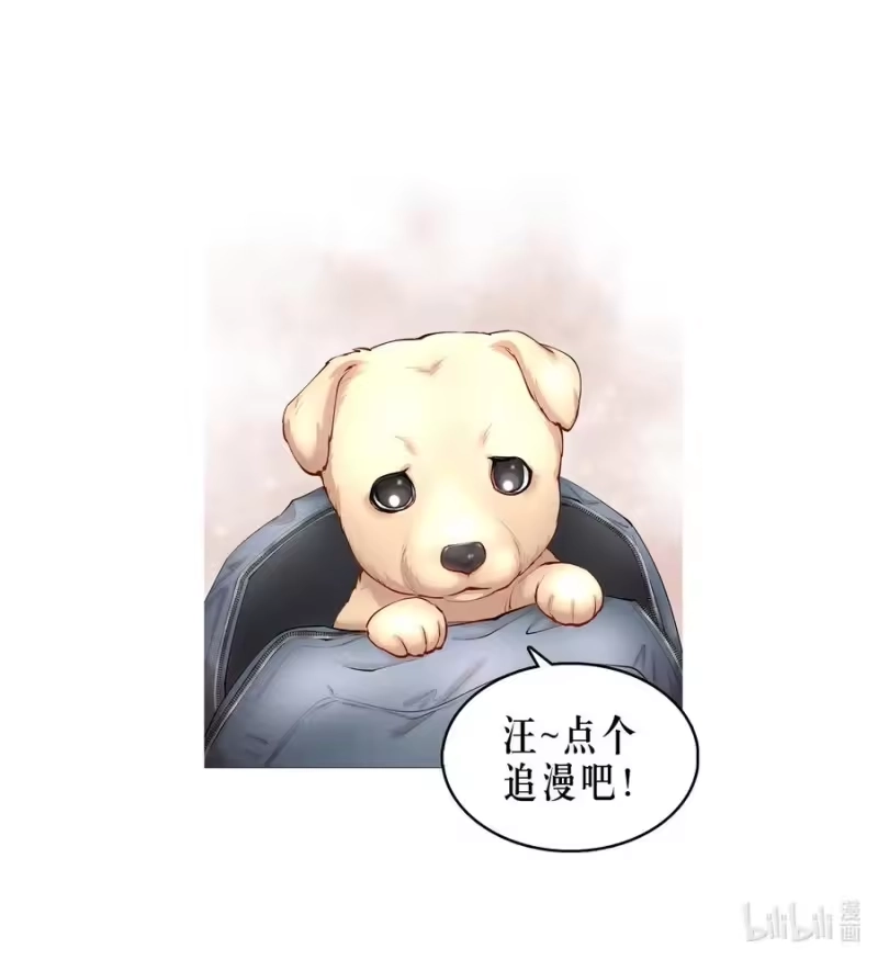 飞鸥不下_h 第40章 那一晚我遇到的就是你吧 第34页