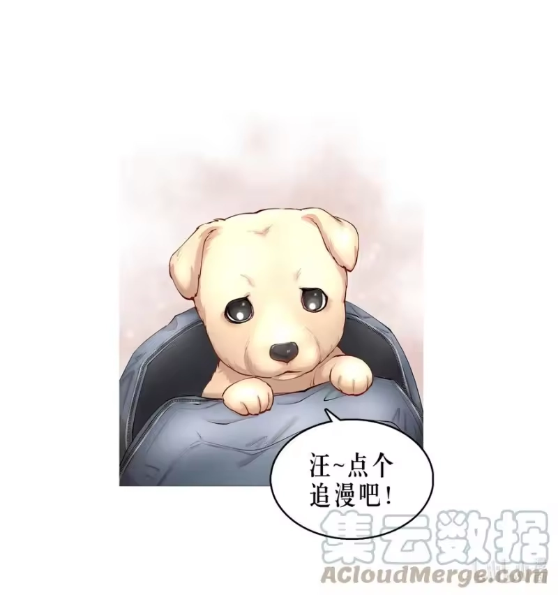 飞鸥不下_h 第42章 别太自作多情 第39页