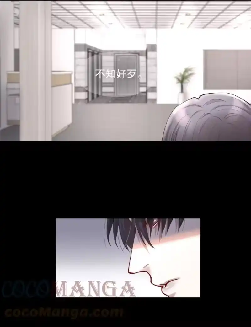 飞鸥不下_h 第44章 别怕，你还有我们 第13页