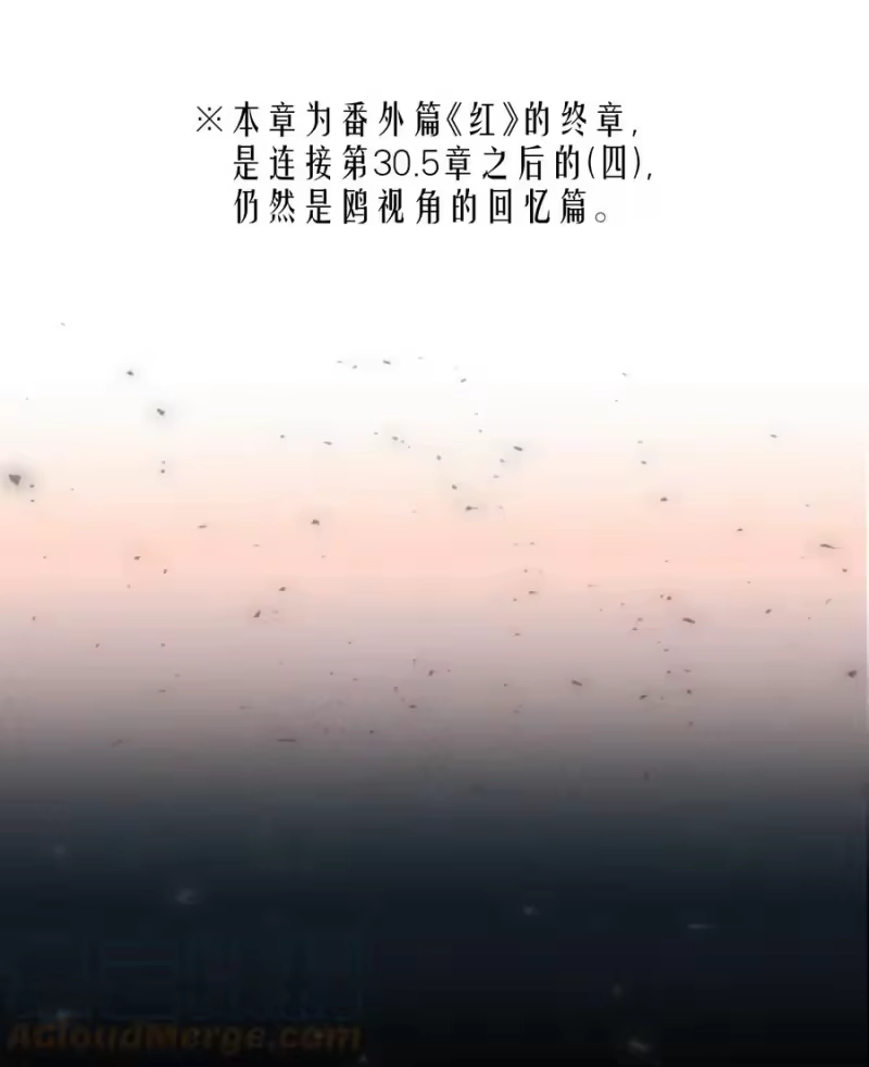 飞鸥不下_h 第44.5 番外——红（四） 第3页