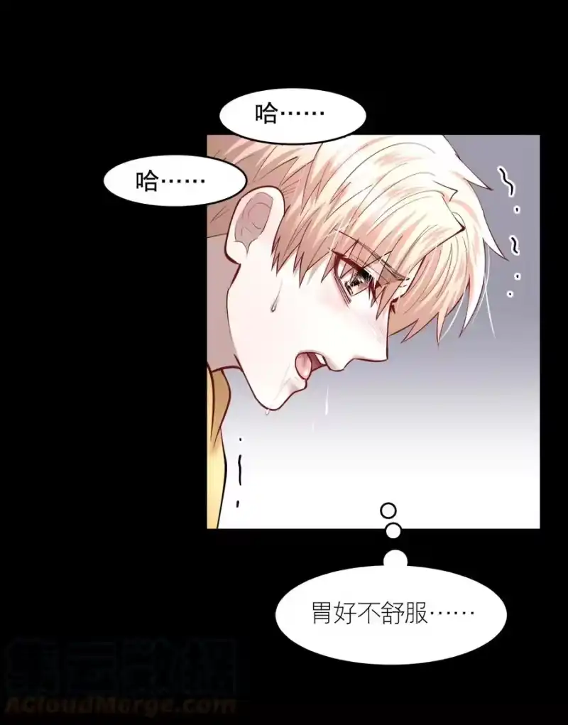 飞鸥不下_h 第48章 我心爱的哥哥(上) 第11页