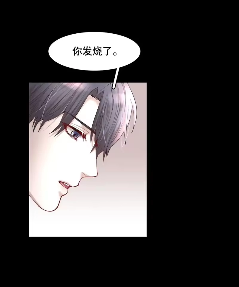 飞鸥不下_h 第48章 我心爱的哥哥(上) 第20页