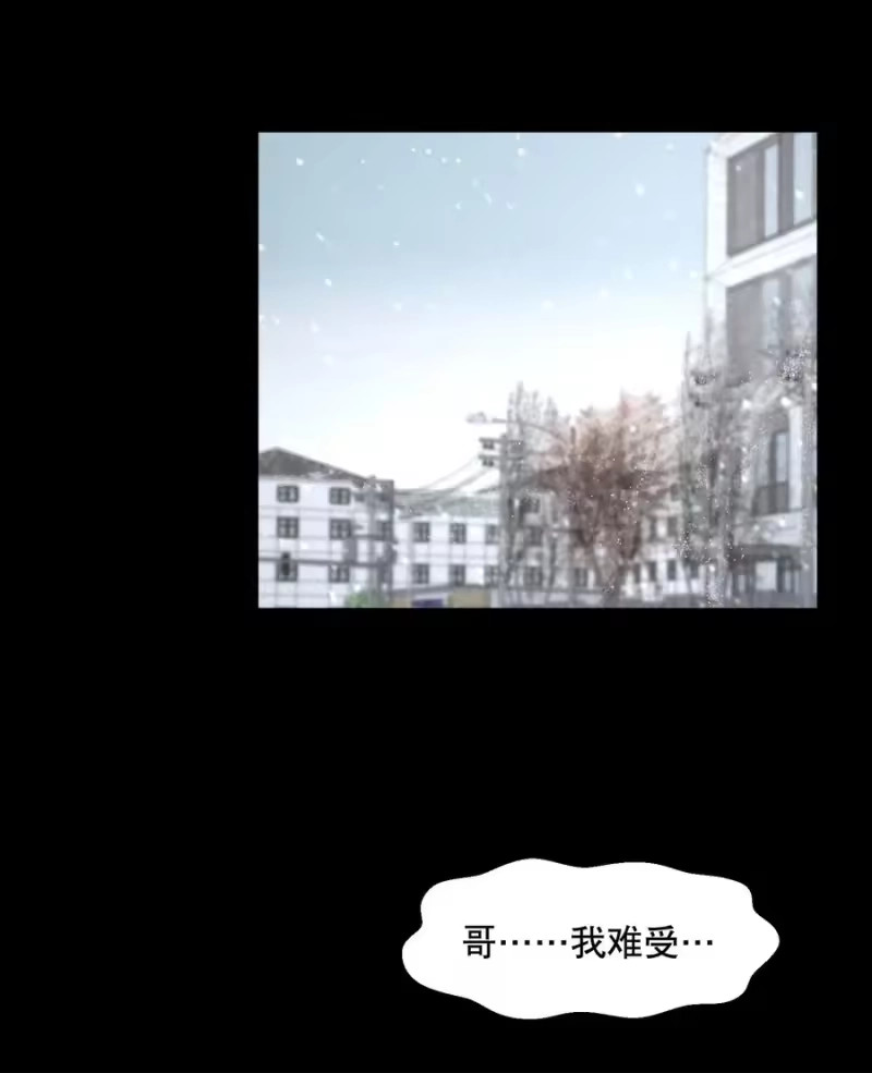 飞鸥不下_h 第48章 我心爱的哥哥(上) 第28页