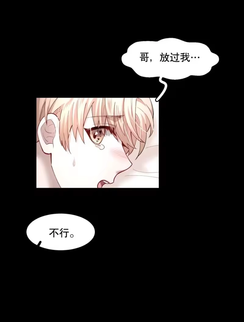 飞鸥不下_h 第49章 我心爱的哥哥(下) 第22页