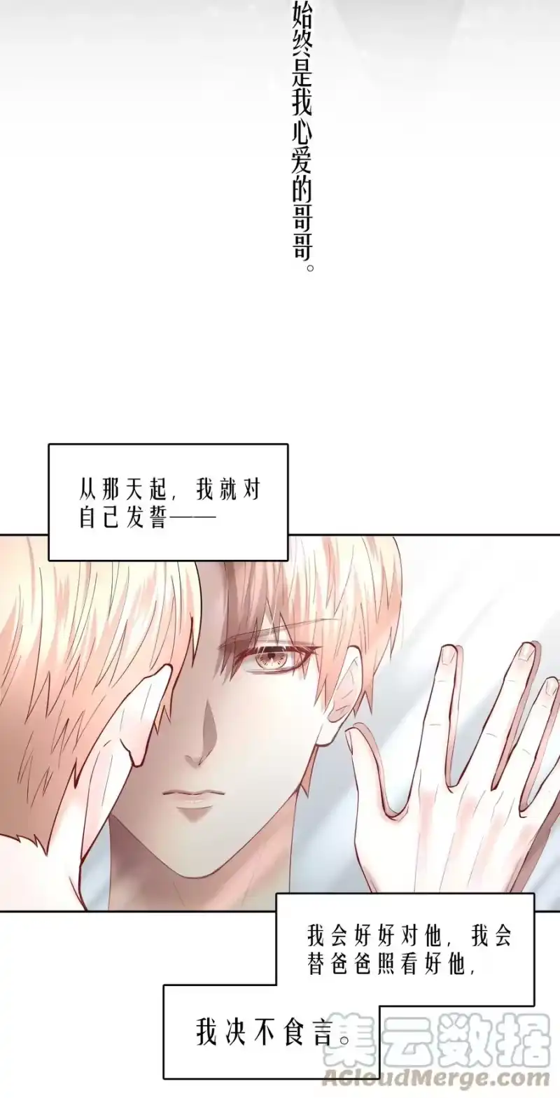 飞鸥不下_h 第49章 我心爱的哥哥(下) 第39页