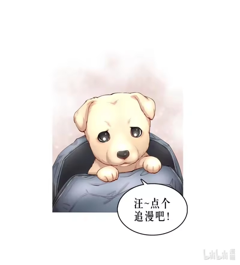 飞鸥不下_h 第53章 械斗 第42页