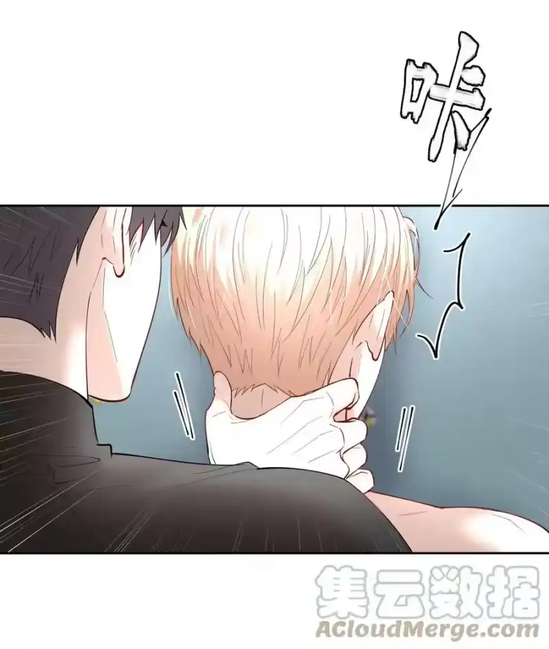 飞鸥不下_h 第62章 非你不可 第39页