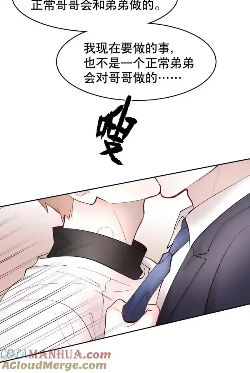 飞鸥不下_h 第75章 你撒谎 第15页