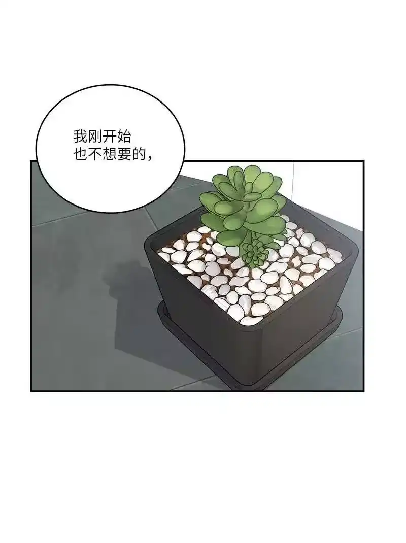 海螺男友_h 85 【哥】 第41页