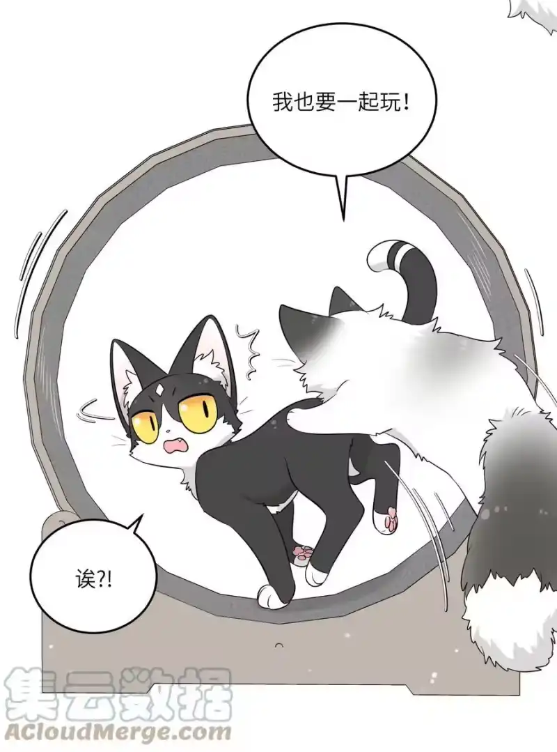 芝麻与米糕_h 番外02 甜甜日常 第3页
