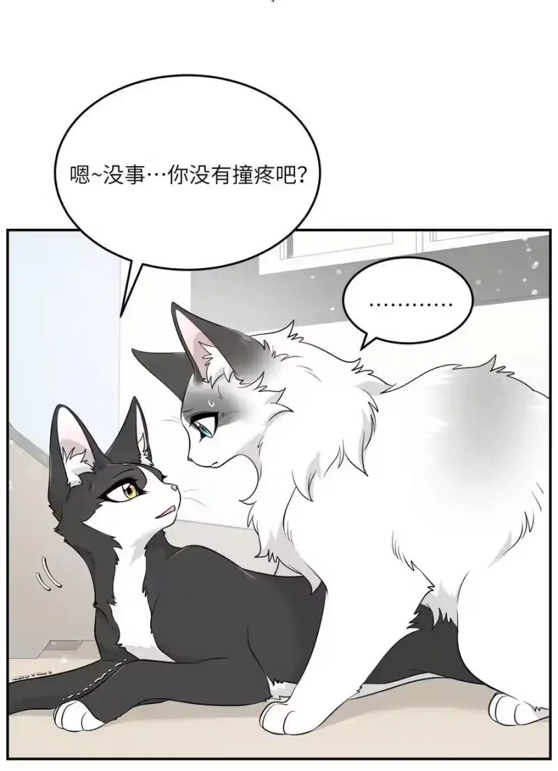 芝麻与米糕_h 番外02 甜甜日常 第8页