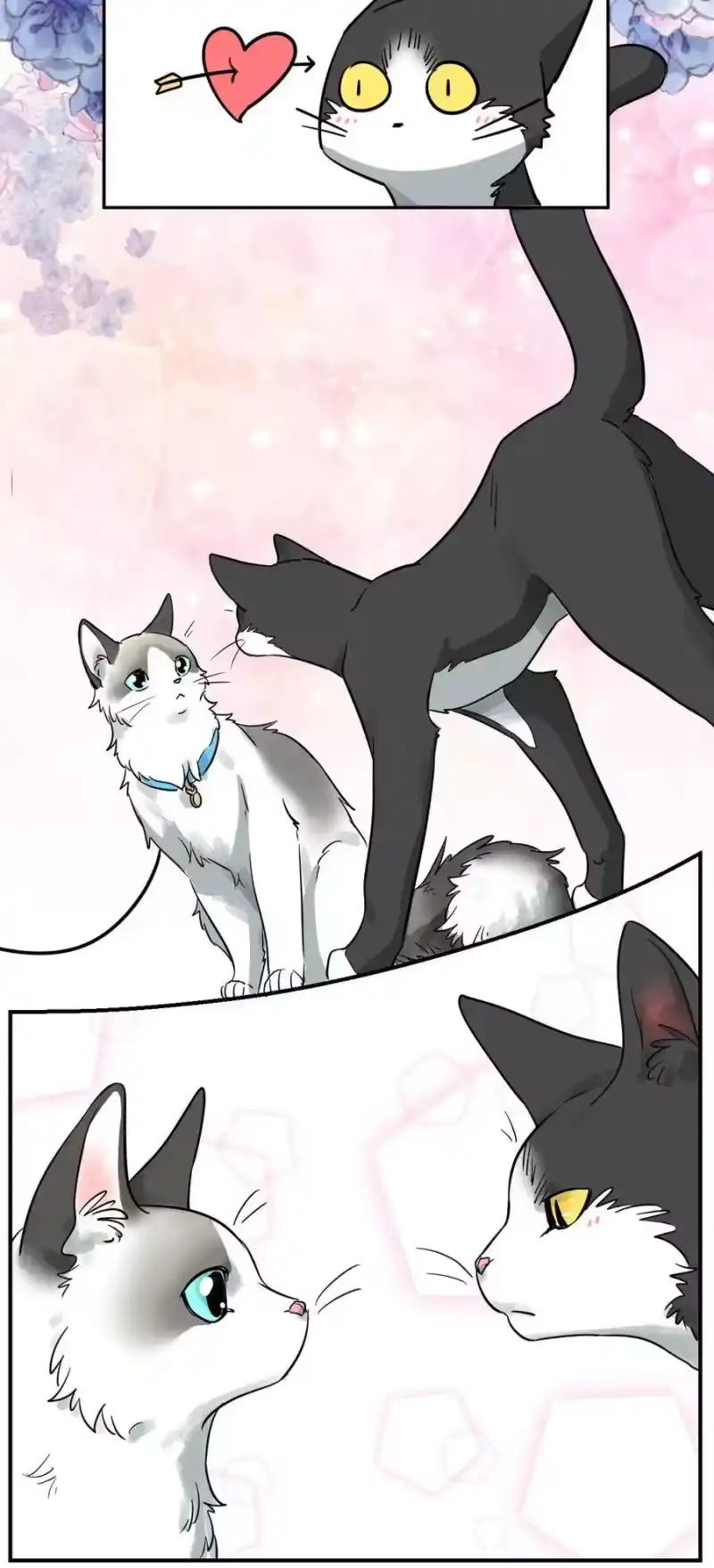 芝麻与米糕_h 000 序章一、二 第3页