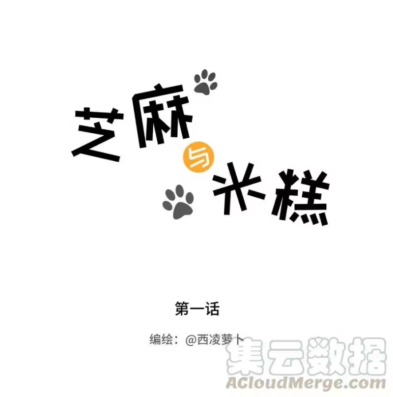芝麻与米糕_h 001 第一话 米糕！！ 第1页
