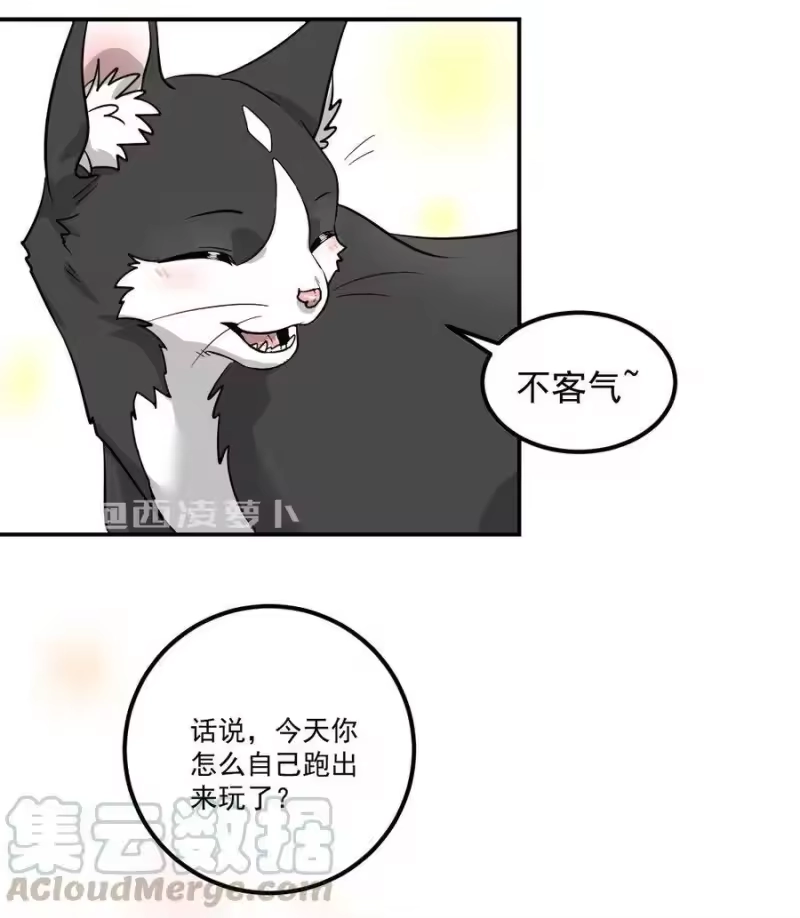 芝麻与米糕_h 001 第一话 米糕！！ 第10页