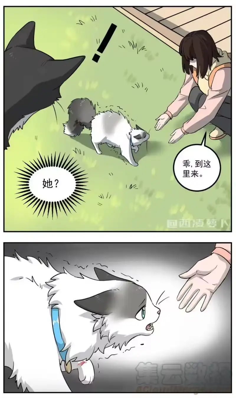 芝麻与米糕_h 001 第一话 米糕！！ 第4页