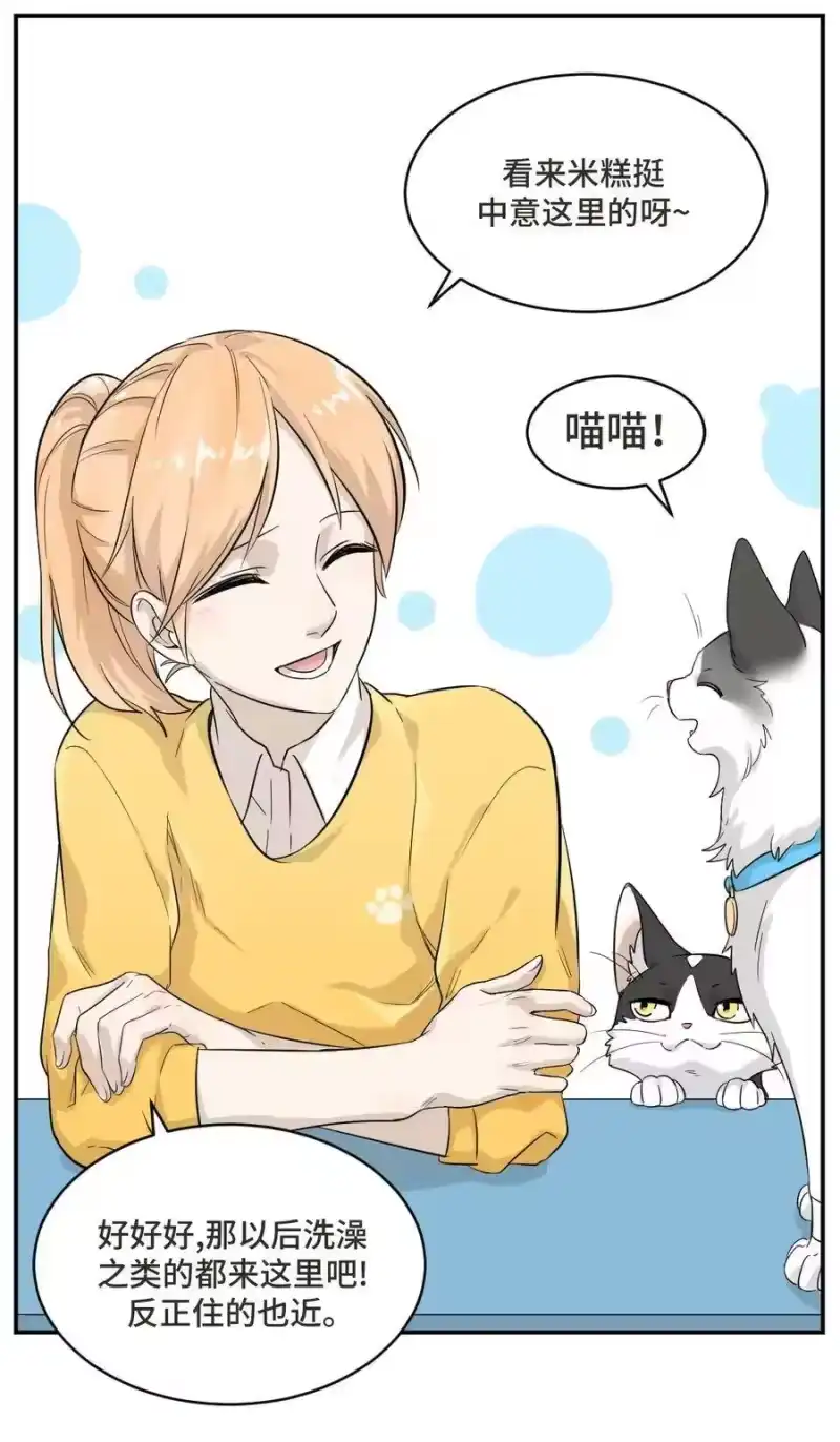 芝麻与米糕_h 002 第二话 我已经没有主人了。 第18页