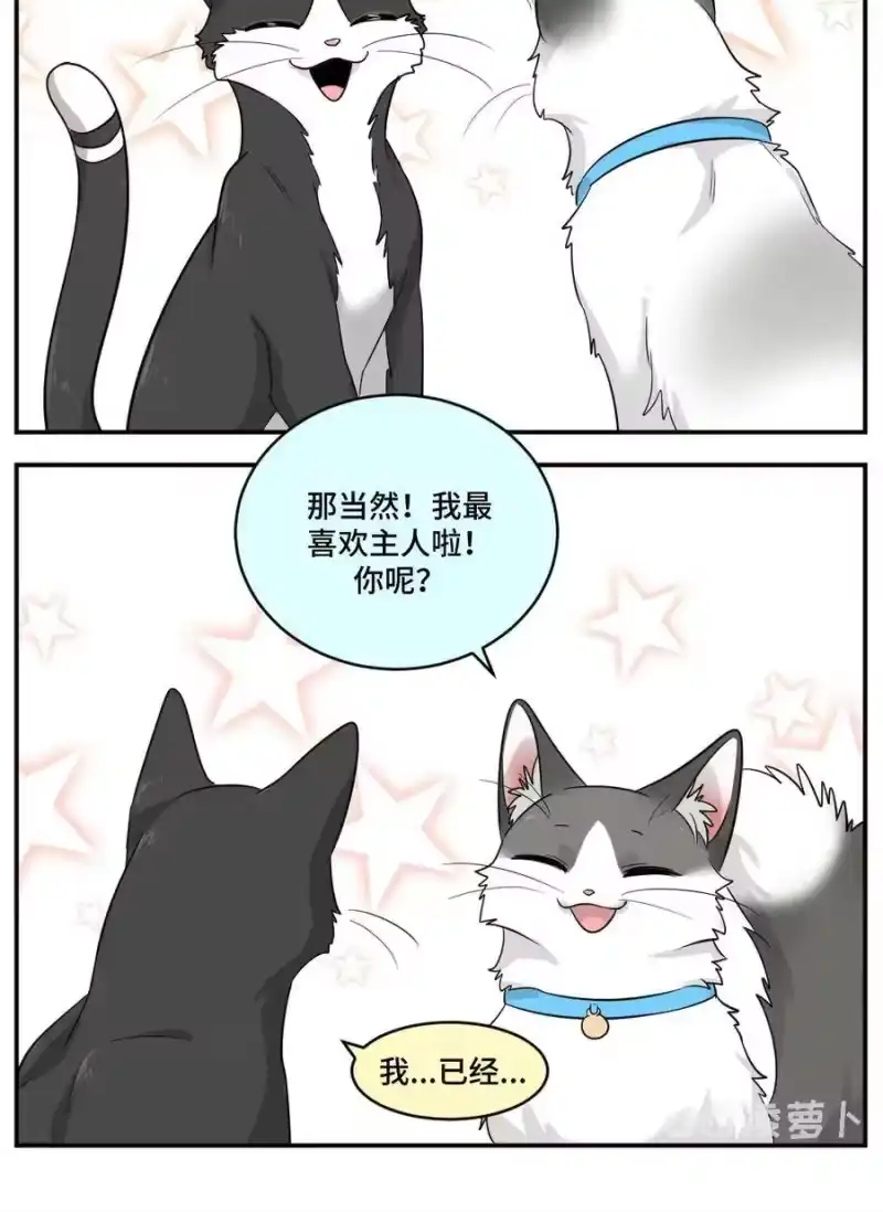 芝麻与米糕_h 002 第二话 我已经没有主人了。 第5页