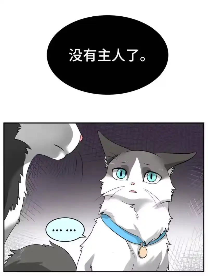 芝麻与米糕_h 002 第二话 我已经没有主人了。 第6页