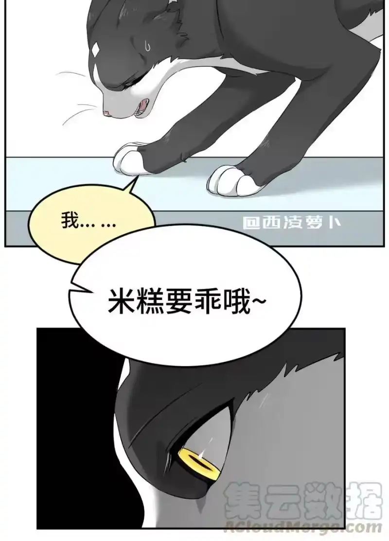 芝麻与米糕_h 004 第四话 疼不疼？ 第4页