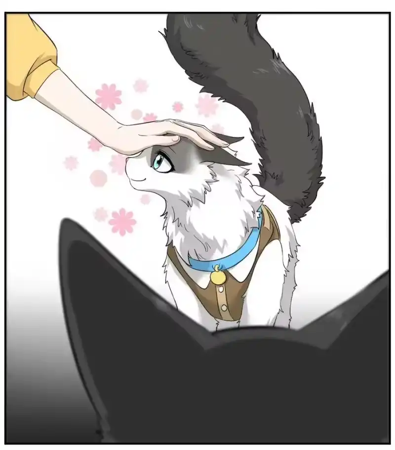 芝麻与米糕_h 004 第四话 疼不疼？ 第5页