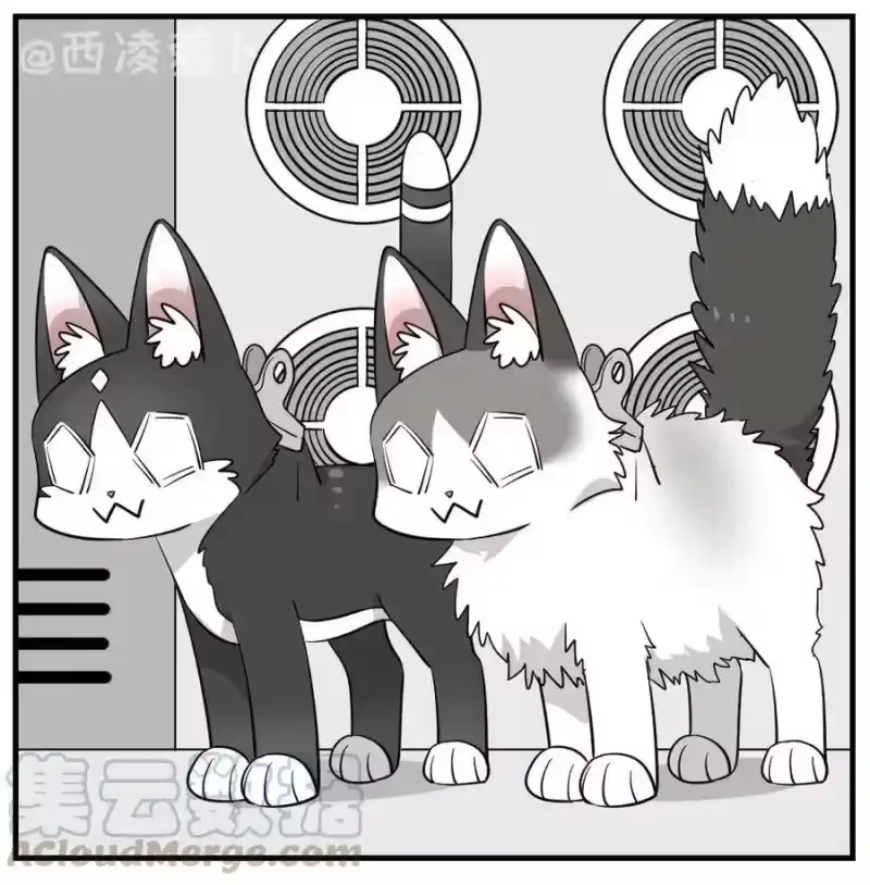 芝麻与米糕_h 006 一起洗澡呀~ 第16页