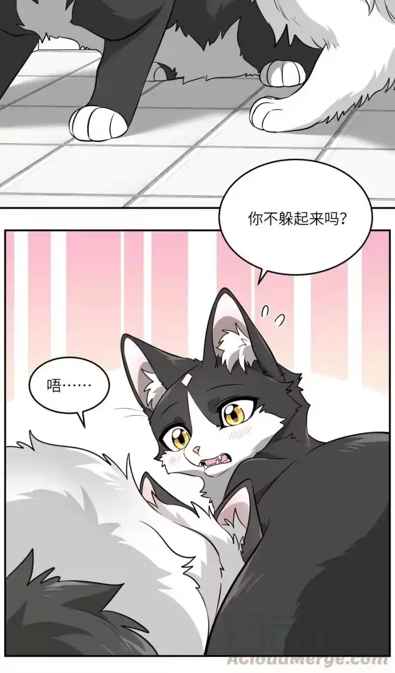 芝麻与米糕_h 007 怎么办…… 第11页