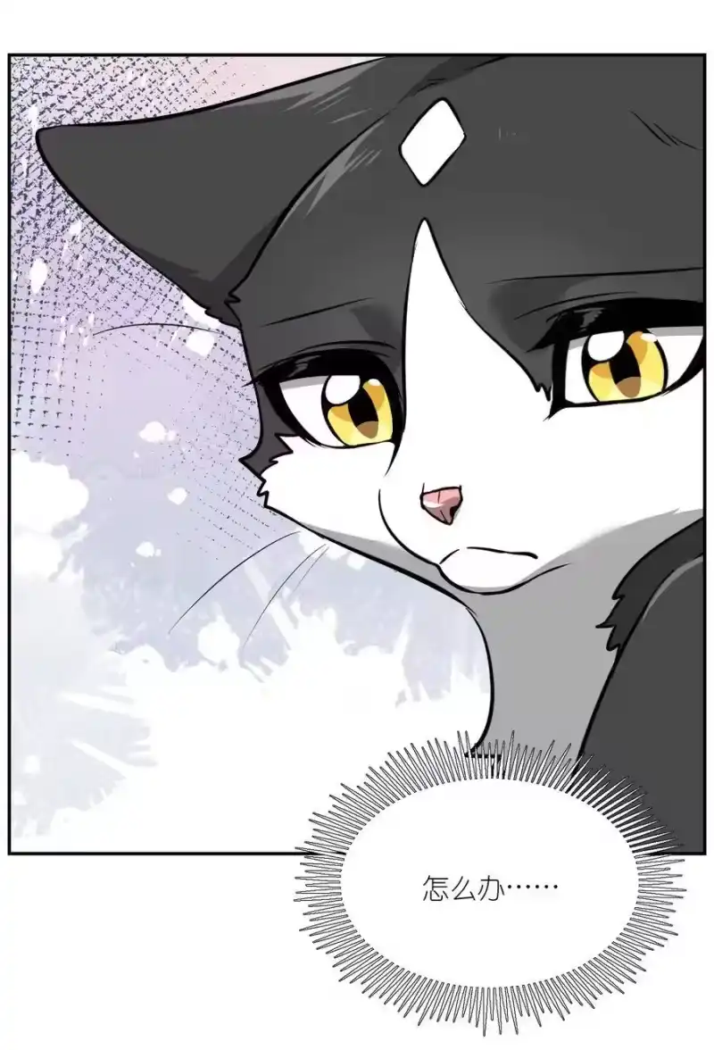 芝麻与米糕_h 007 怎么办…… 第14页