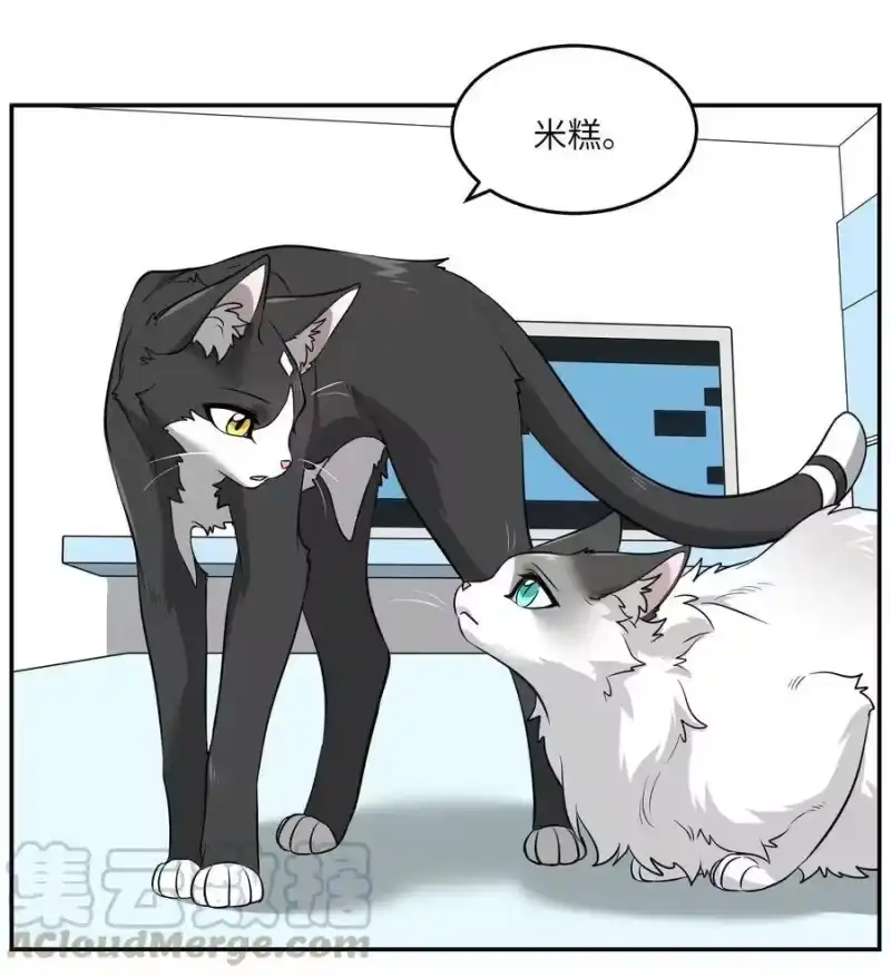 芝麻与米糕_h 007 怎么办…… 第5页