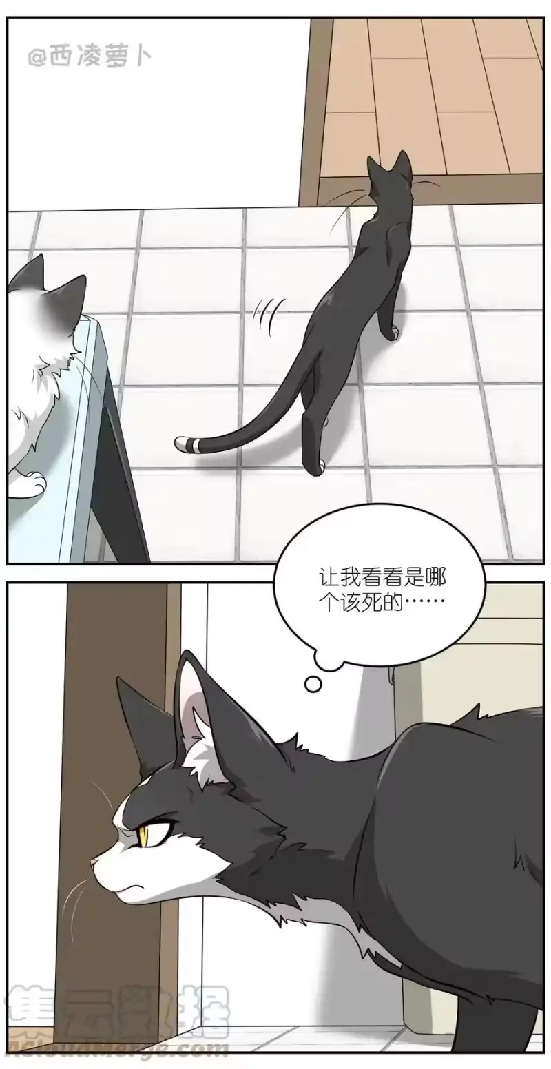 芝麻与米糕_h 007 怎么办…… 第9页