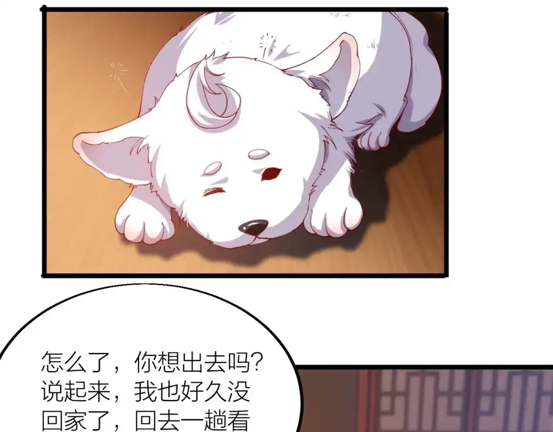 御天神帝 第43话 高手过招！ 第17页