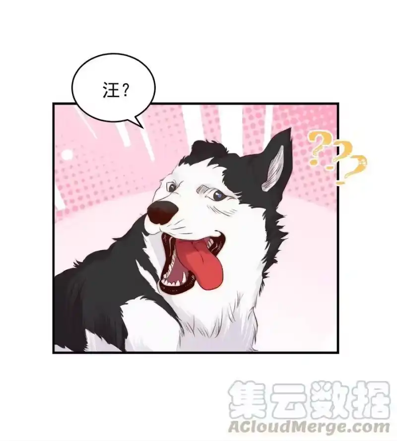 皇上别闹_h 037 召见 第35页